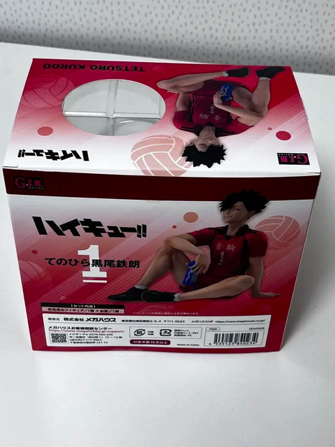 Haikyu Kuroo Tetsuro Tenohira GEM