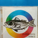 Seo Taiji single album first edition CD