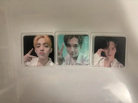 Seventeen Magnet