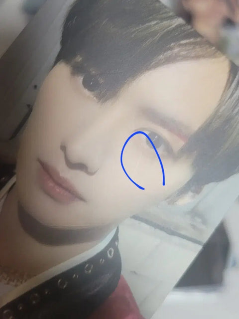 Stray Kids Lee Know Minho Photocards Bundle