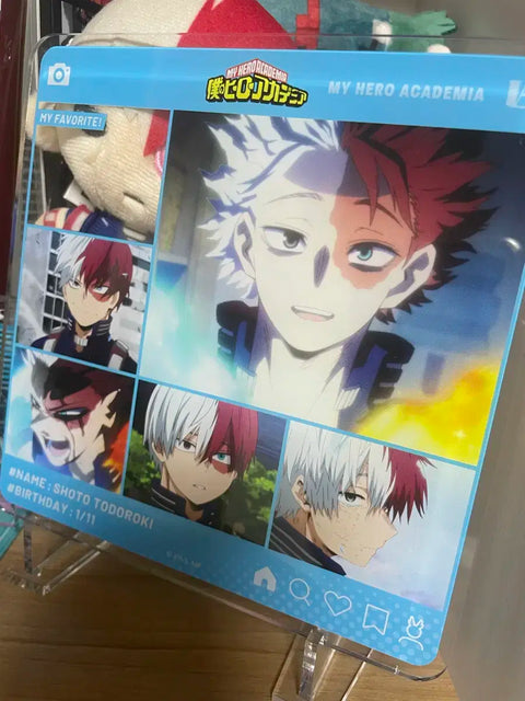 Shoto Acrylic