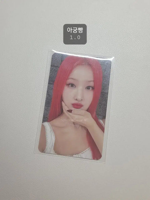 Kiss of Life KIOF Belle Photocard Sale/Trade/Transfer