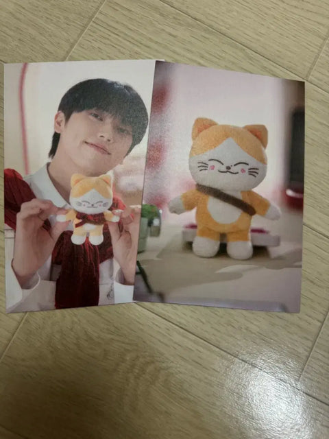 ONF - OnCommies Christmas Postcard Set MD