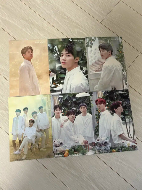 DAY6 Scentographer Postcard Dowoon Denimals Petitmals 10th Anniversary Concert