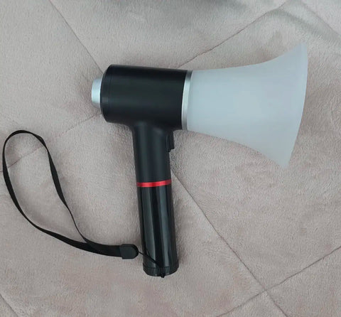 THE BOYZ light stick