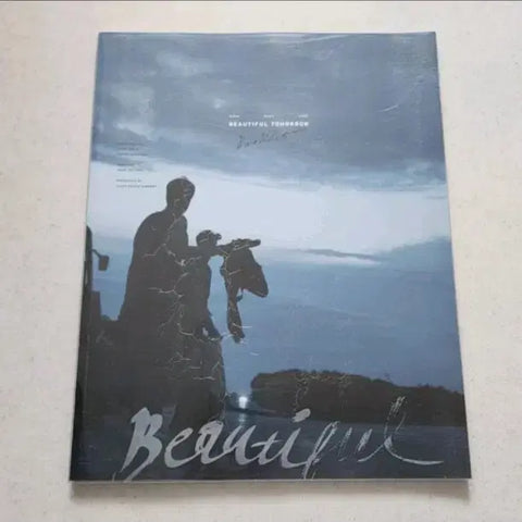 Park Hyo Shin 2017 Viewtiful Tomorrow Booklet