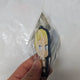 Attack on Titan Erwin Rubber Strap