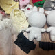 EXO doll Baekhyun D.O. Doh Kyungsoo Pporam, Kyungkung + doll clothes