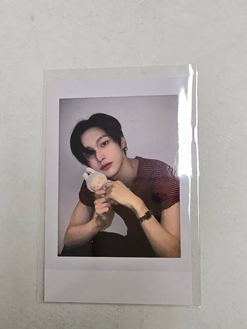 Rise Wonbin Mini Record Labubu Lucky Draw Polaroid Transfer