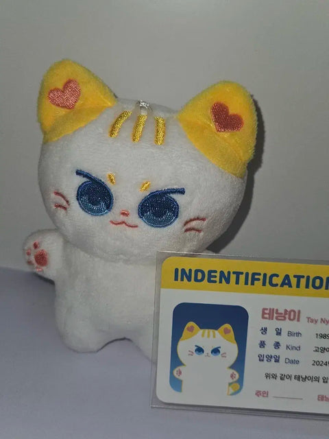 Tenyangi Taylor Swift doll