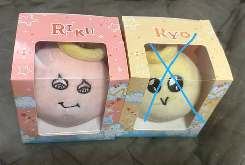 NCT Wish Riku Mascot Unopened