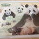Selling Bao Family Tin Case (New)