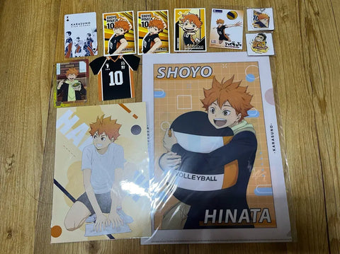 Haikyu Hinata Shoyo clear file, postcard, sticker, vintage paper goods, keyring