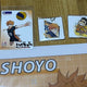 Haikyu Hinata Shoyo clear file, postcard, sticker, vintage paper goods, keyring