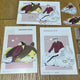 Haikyuu Jump Festa Inarizaki Suna Kita Postcard Clear Card Sticker Paper Goods