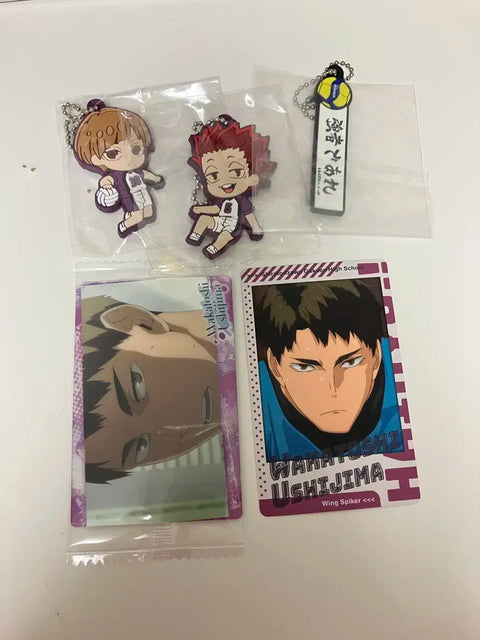 Shiratorizawa keychain, Ushijima wafer, etc. - all together