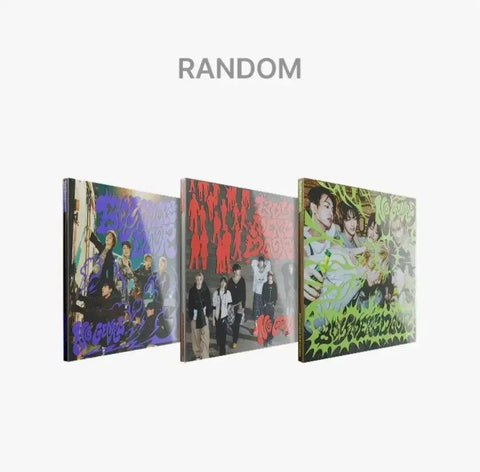 Boneca Do No Genre Unopened Album