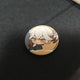 Unofficial Reverse: 1999 Medicine Pocket Matte Can Badge