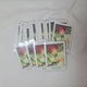 Ensemble Stars! Switch Natsume Pasha Collection 6 Off 61 cards Rare