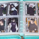 Jujutsu Kaisen wafer cards and other