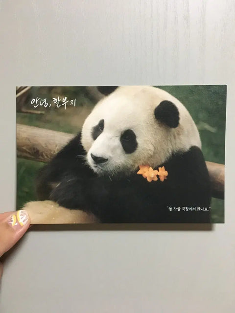 Fubao Pop-up Goods Bundle