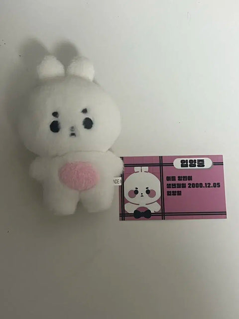 Tomorrow X Together Soobin doll Angbin is for sale.