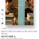 Drama "The Law of Love in the City" MD All together