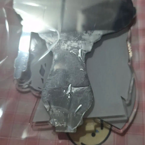 Heaven Official's Blessing Xie Lian Animate Acrylic for Sale