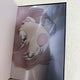 Detective Conan: The Scarlet Bullet B Type for Sale