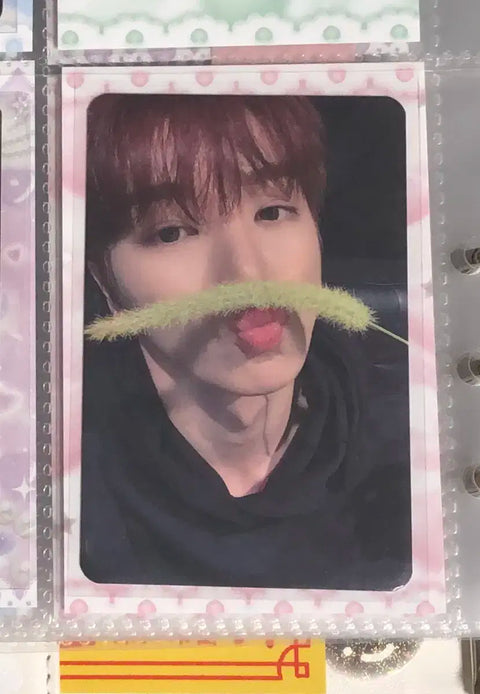 Rise Sungchan DearMyMuse DimaMu photocard transfer