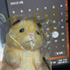 ZEROBASEONE Sung Hanbin Ddungjjoongham Suke69's Daily Life Mascot