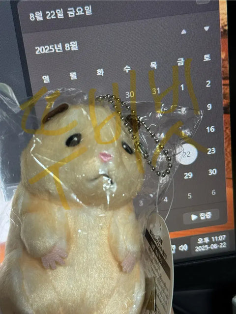 ZEROBASEONE Sung Hanbin Ddungjjoongham Suke69's Daily Life Mascot