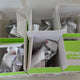 BTS In the Seom Island Lucky Draw Outbox Only (Opened)