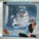 Gintama Sakata Gintoki GEM Tenohira Series Gintoki Sale Transfer Unopened
