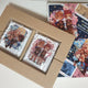 Volume 15 Special Edition Acrylic Keyring, Unopened
