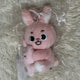 DAY6 Magnet Plush Set Pil Feel NaanA Doll Transfer