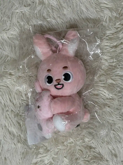 DAY6 Magnet Plush Set Pil Feel NaanA Doll Transfer