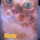 Selling an unopened poster of the movie "Zombie Daughter: Aeyongi".