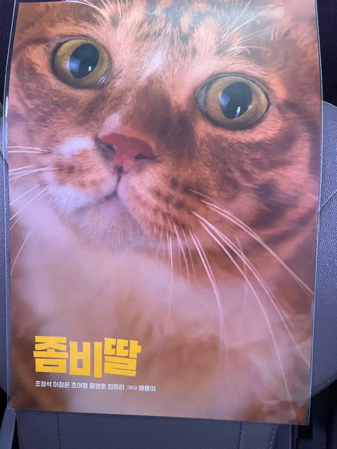 Selling an unopened poster of the movie "Zombie Daughter: Aeyongi".