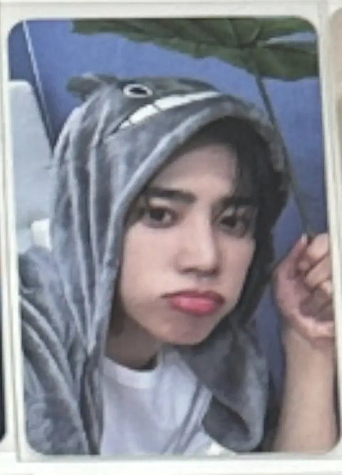The Boyz Sunwoo Totoro photocard
