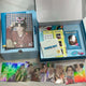 TXT 2023 Deco Kit Transfer