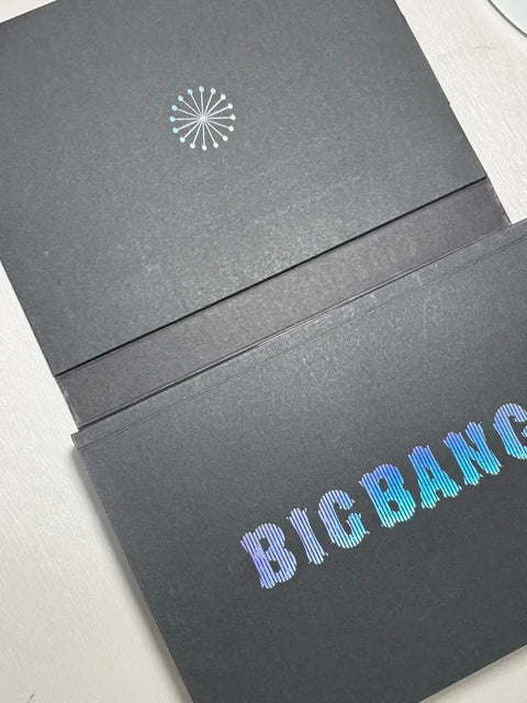 Big Bang Big Show 2010 Live Concert Album