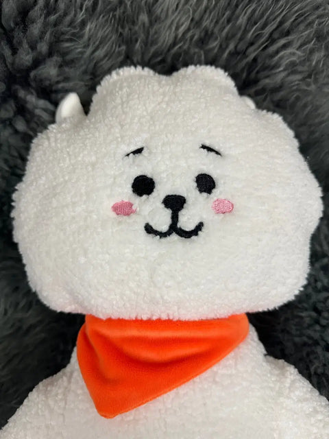 BT21 Standing Doll M Size Renewal Version_RJ