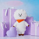 BT21 Standing Doll M Size Renewal Version_RJ