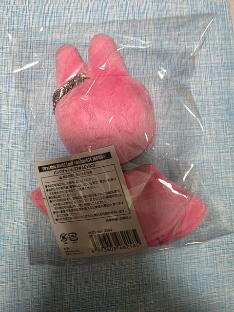 Stray Kids Dwaekki Bag Charm Shizuoka Teru Teru Bozu