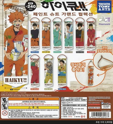 Haikyuu Paint Garland Bokuto