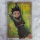 Hunter x Hunter Killua, Gon Itajaga