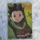 Hunter x Hunter Killua, Gon Itajaga