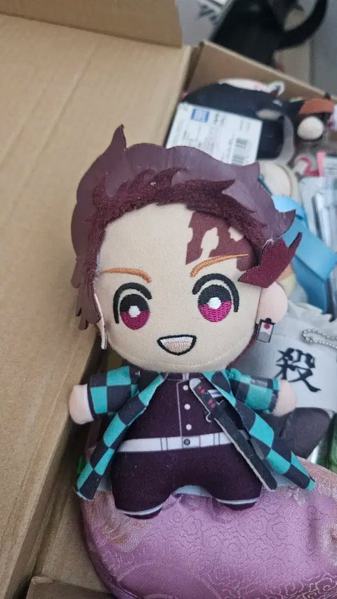 Demon Slayer Kamado Tanjiro Nui