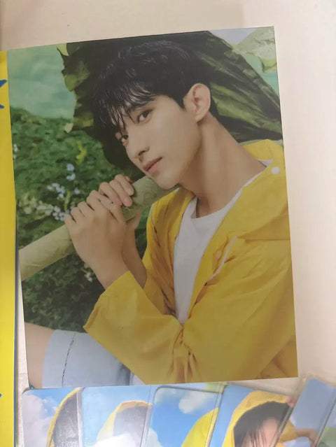 SEVENTEEN Seventeenth Heaven Carat Version Album + Photocard
